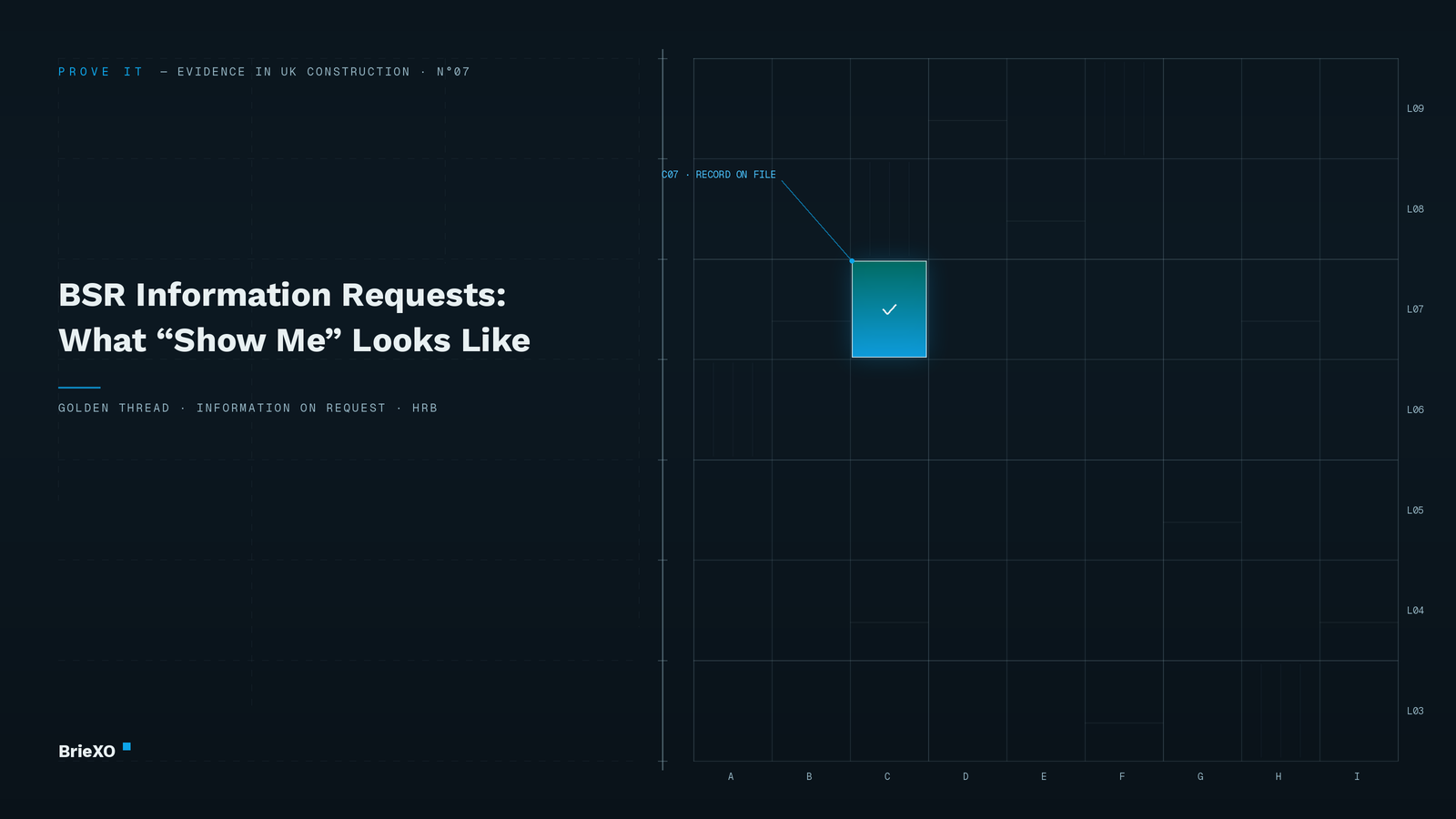 BSR Information Requests: What "Show Me" Looks Like